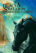 The Black Stallion Adventures! 4 Volume Boxed Set
